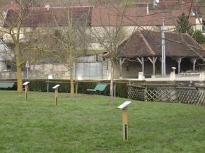 Sentiers (6).JPG Foyer rural Etourvy