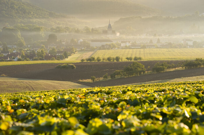 Mussy-sur-Seine.jpg Mussy-sur-Seine