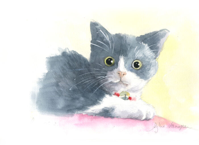 1 chaton leçon_1000pix.jpg Vernageau Sylvie