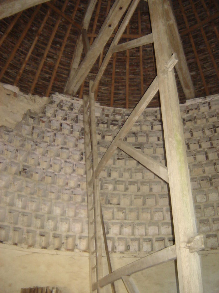 Photo_3.JPG OTOA