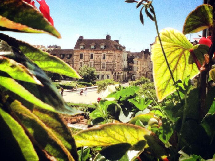 Photo_1.jpg Aube en Champagne Tourisme