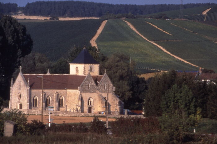 Eglise Saint-Loup de Troyes.jpg Eglise Saint-Loup de Troyes - Buxeuil