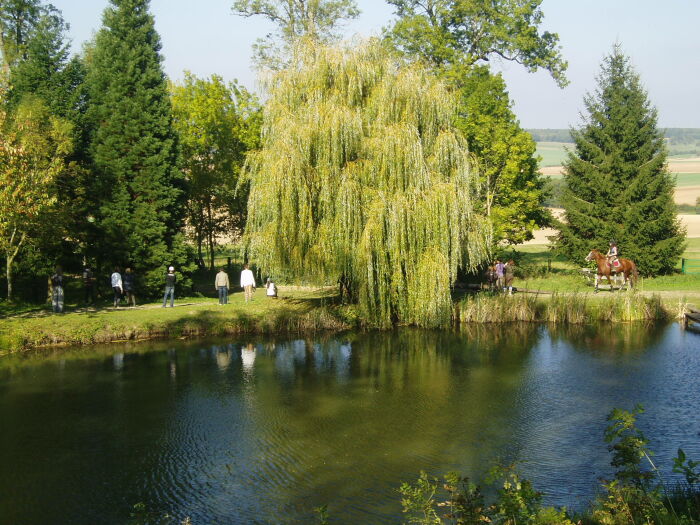 Photo_2.JPG Brunaud Paul-François