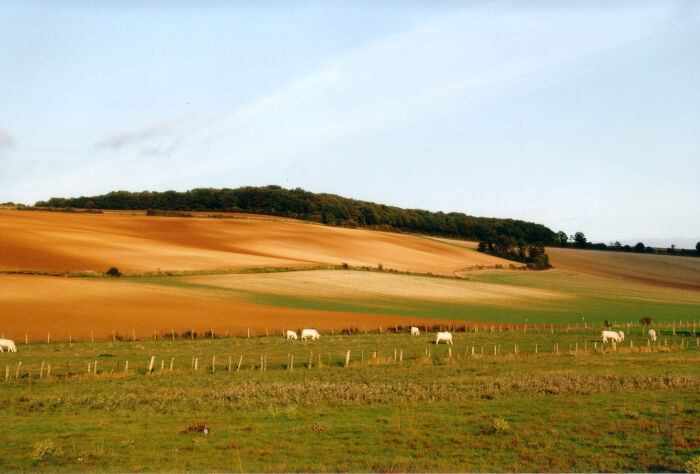 couleurs des champs Yves Buridant petit.jpg Yves Buridant