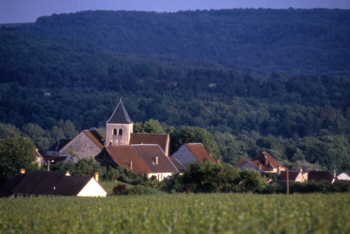 Eglise de l'Assomption de la Vierge.jpg Eglise de l'Assomption de la Vierge - Landreville