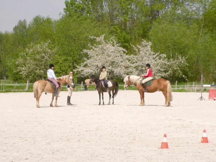 CHEVAUX CARTES 2.jpg Poney Club