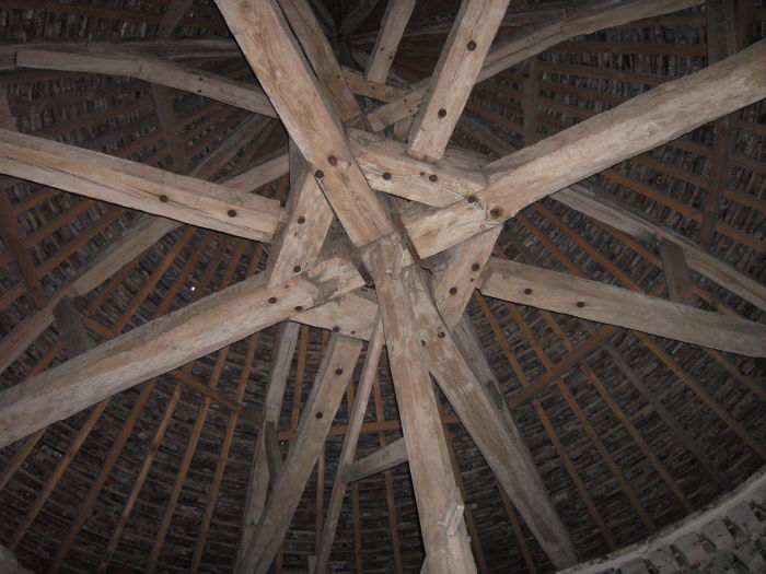 Photo_1.JPG OTOA