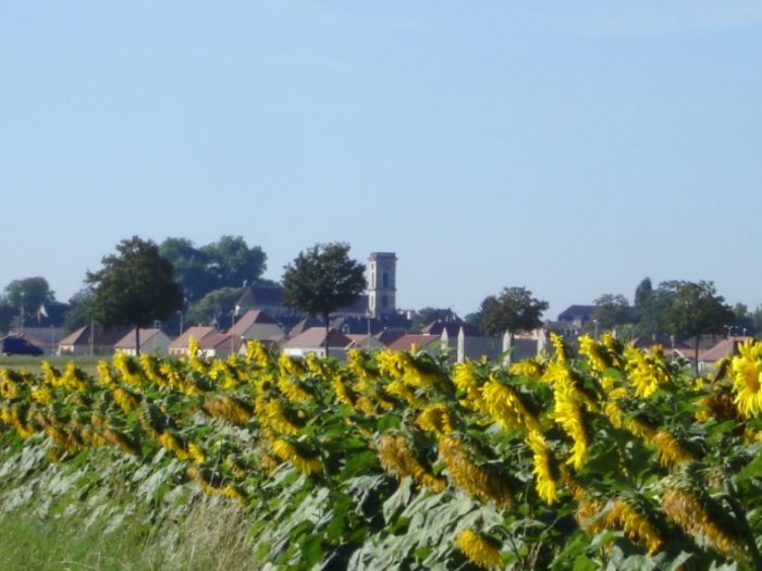 Promenade Briennoise