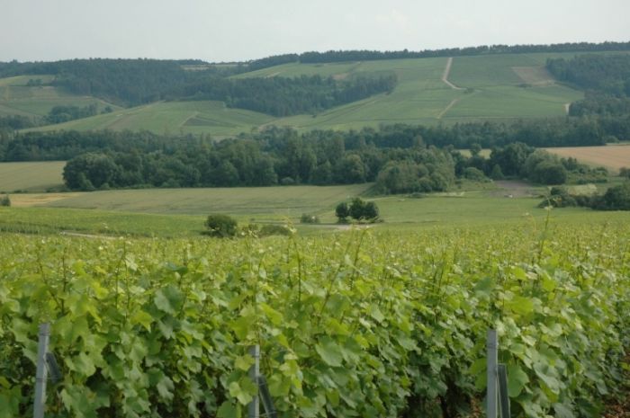 GRP tour de Champagne de la vallée de l'Ource