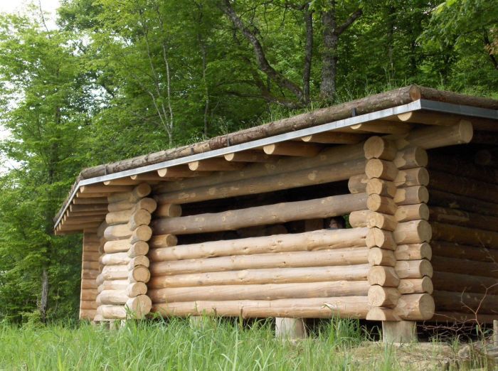 Forêt du Temple