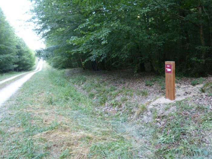 Sur les traces des Templiers en Forêt d'Orient