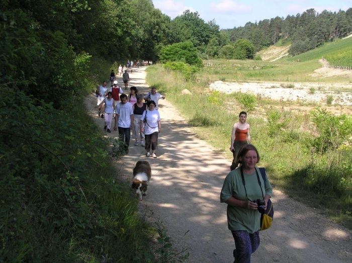 Chemin Geoffroy Sifferlen