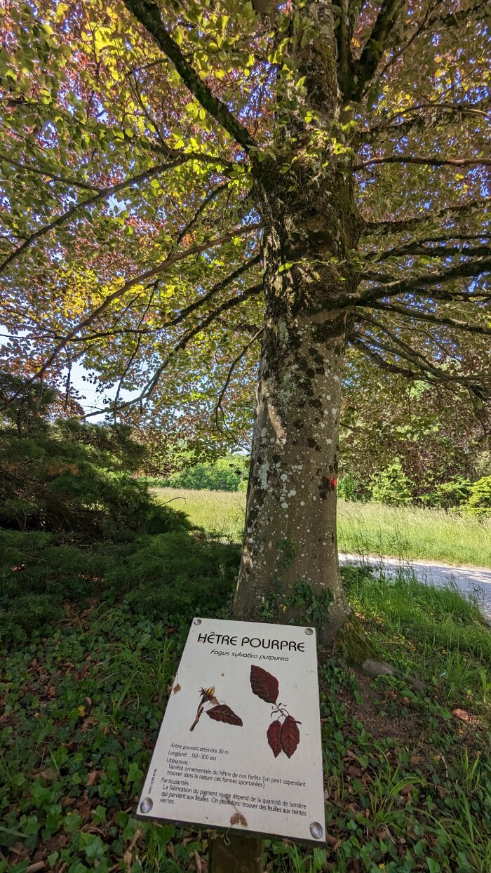 Arboretum Brienne 2023 ©A. LOISON (67).jpg OT Grands Lacs de Champagne - A. Loison