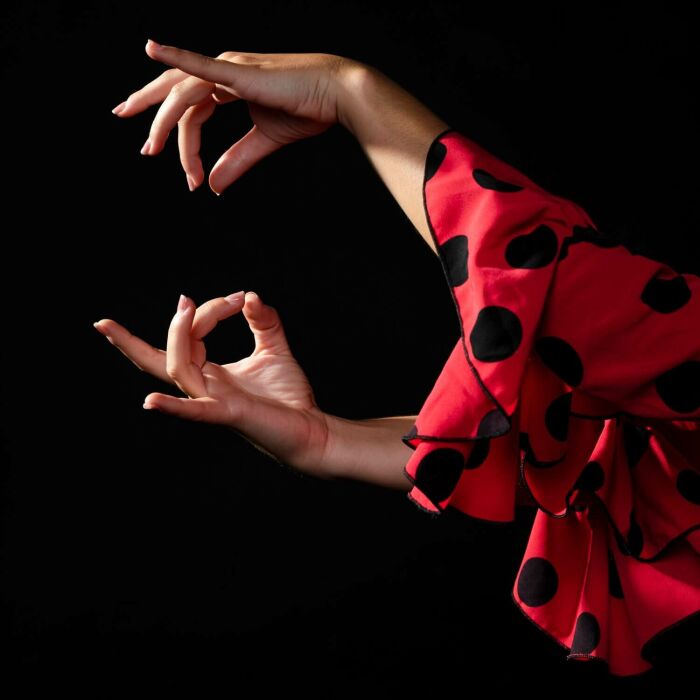gros-plan-femme-flamenca-executer-floreo_23-2148235257 (1).jpg freepik