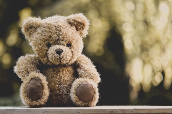 teddy-5207189_1280.jpg Alexas_Fotos - Pixabay