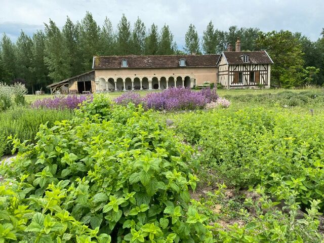 2025 Abbaye Basse-Fontaine BLV ©Marine Brunelet.jpg Marine Brunelet