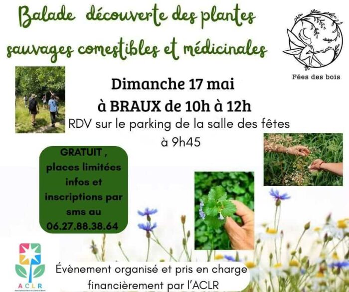 2026 05 17 - Balade initiation plantes - Braux.jpg Julie Fée des Bois
