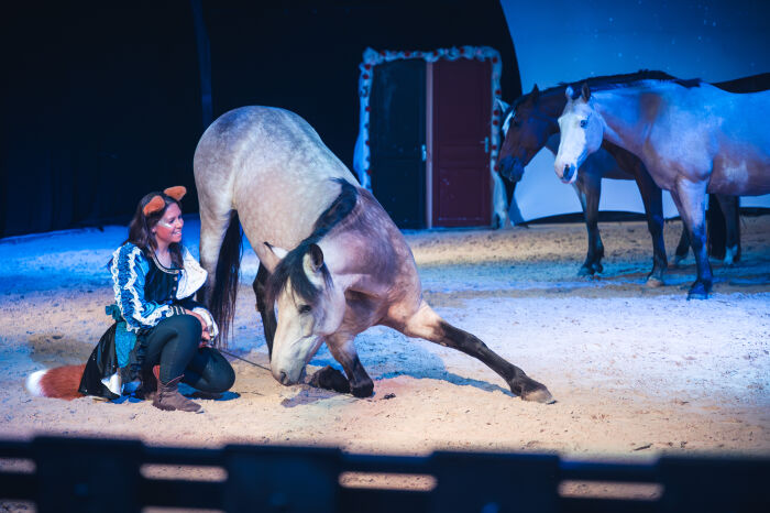 Théâtre équestre de Champagne 139 - © Le Bonheur des Gens.jpg Le Bonheur des Gens
