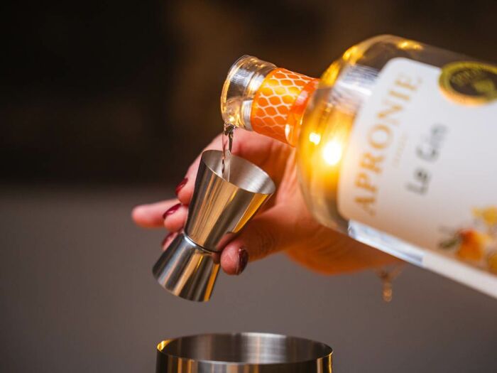 Apronie18.jpg Domaine D'Apronie