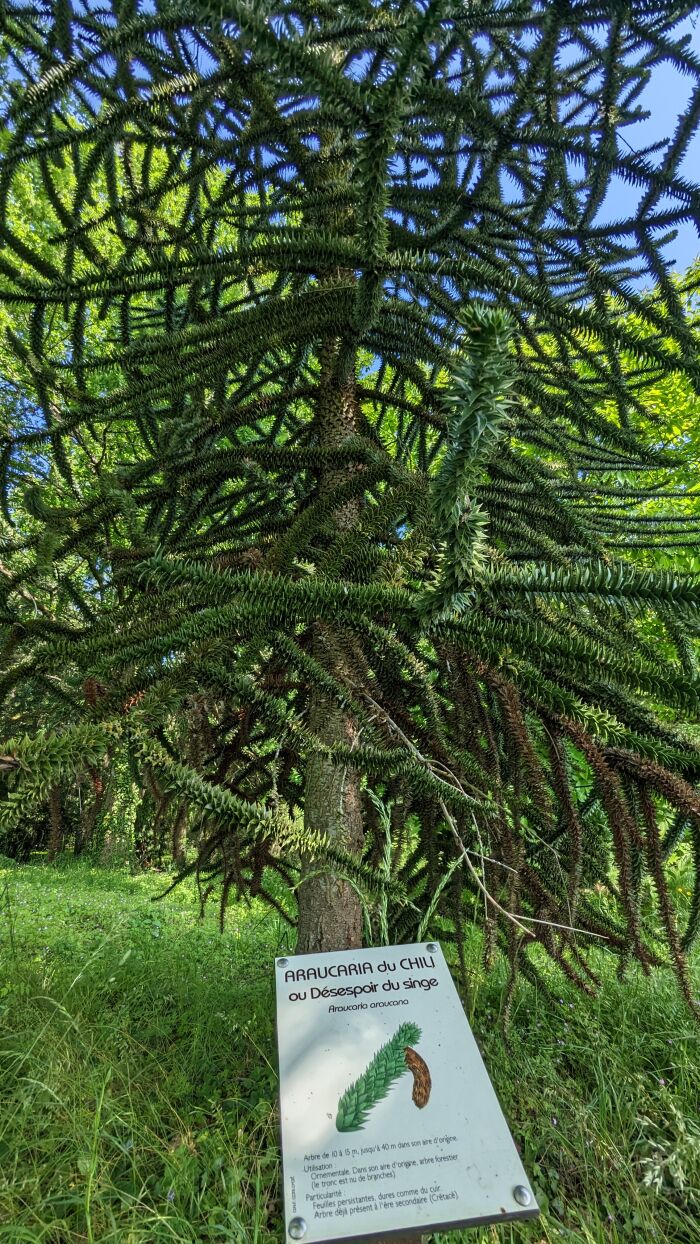 Arboretum Brienne 2023 ©A. LOISON (18).jpg OT Grands Lacs de Champagne - A. Loison