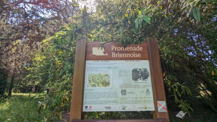 Arboretum Brienne 2023 ©A. LOISON (1).jpg OT Grands Lacs de Champagne - A. Loison