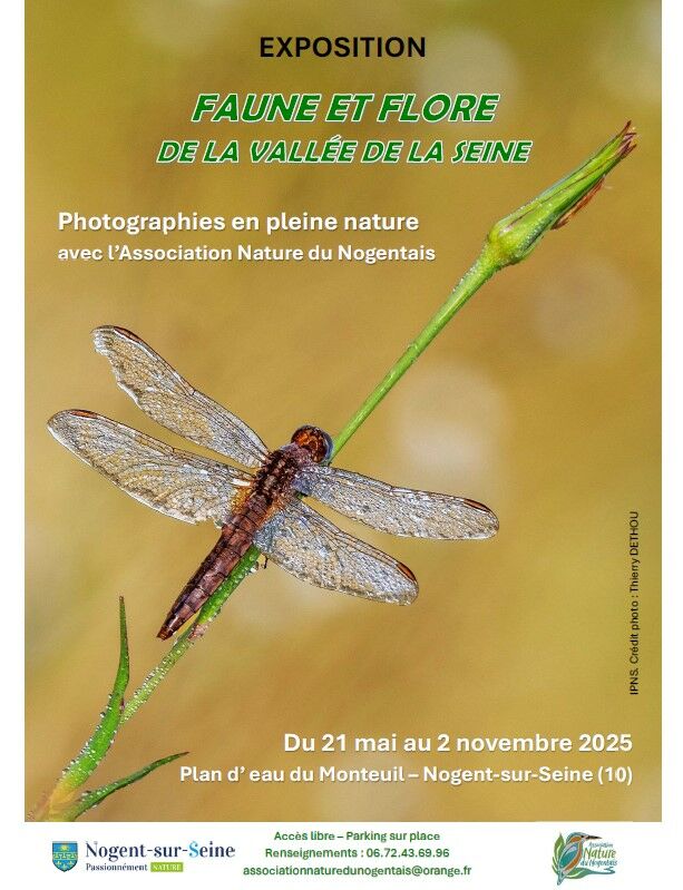 21.05.25 expo Monteuil.jpg © ANN