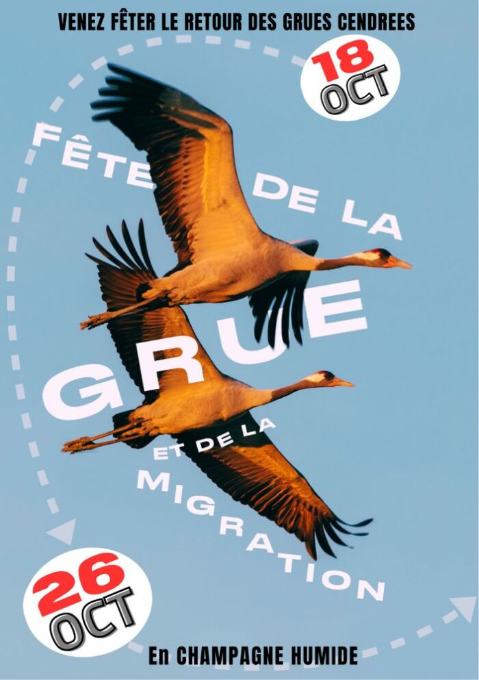2025 10 26 18 - Fête de la grue.jpg LPO Champagne-Ardenne