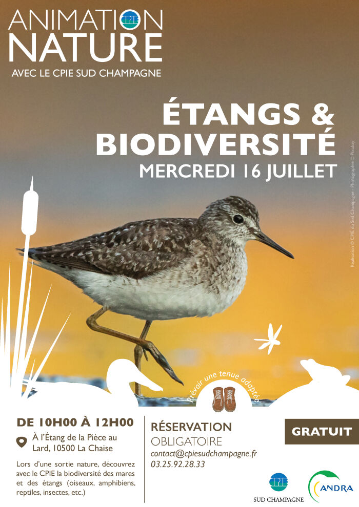 2025 07 16 - Sortie nature étangs - CPIE.jpg © CPIE Sud-Champagne