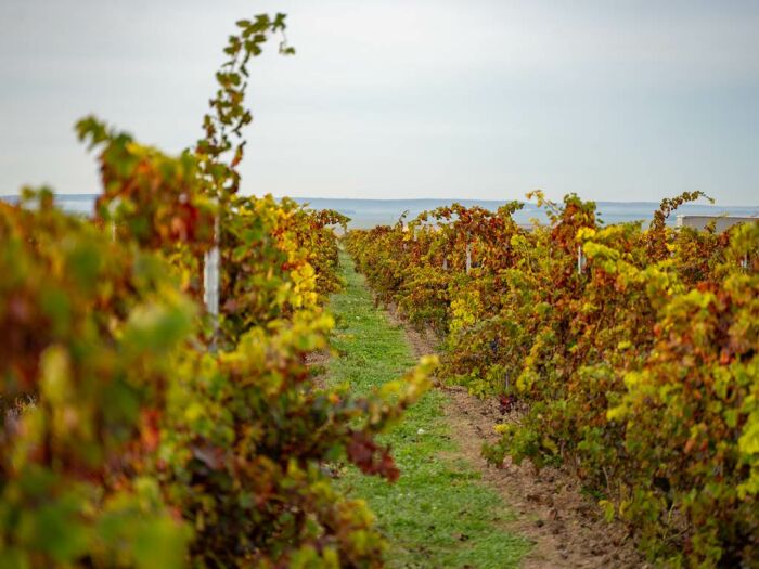 Apronie16.jpg Domaine D'Apronie