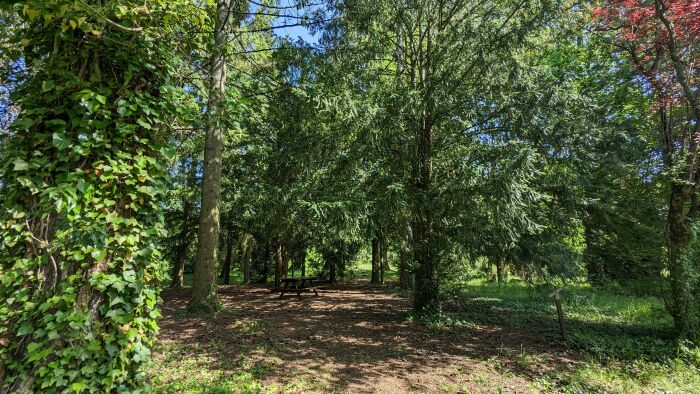 Arboretum Brienne 2023 ©A. LOISON (13).jpg OT Grands Lacs de Champagne - A. Loison