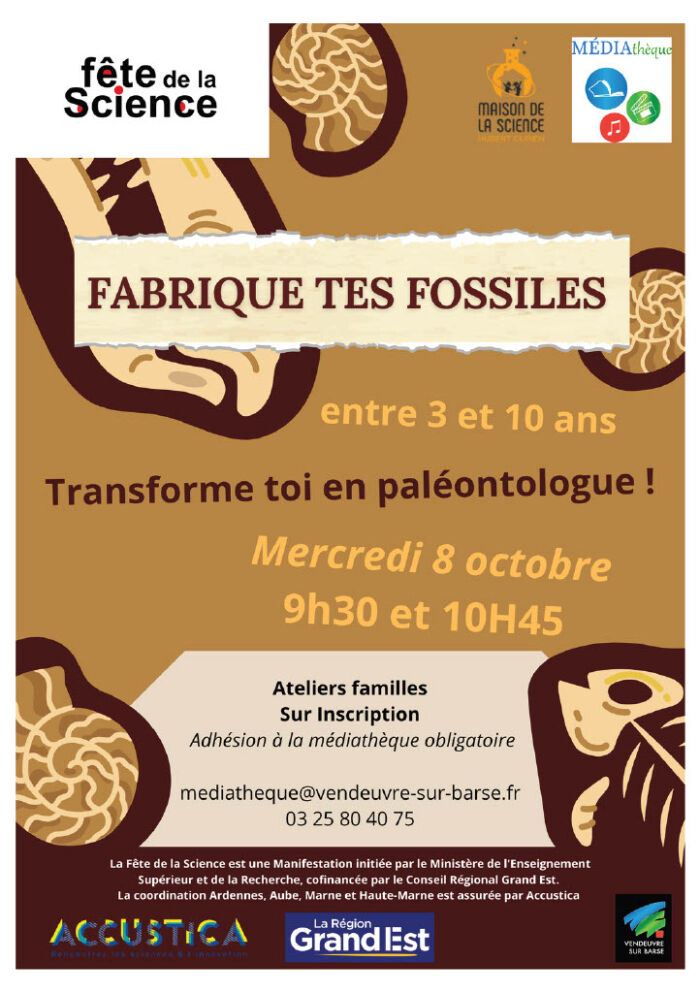 2025 10 08 - Atelier fossiles - VSB.jpg ©médiathèque VSB