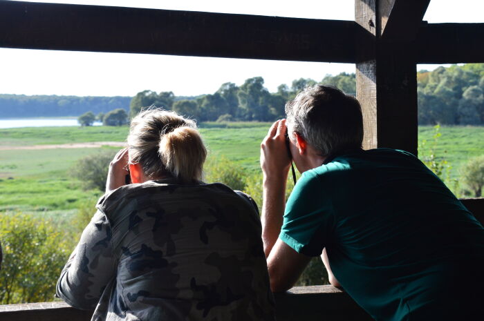 Observation oiseaux.JPG Christine Tomasson