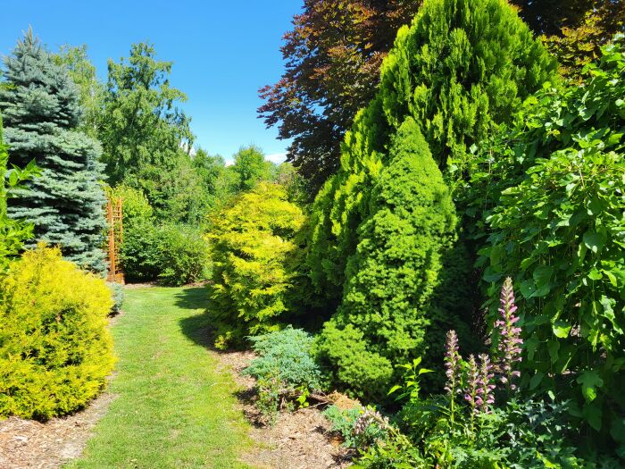 Jardin du Livon.jpg © OTNVS