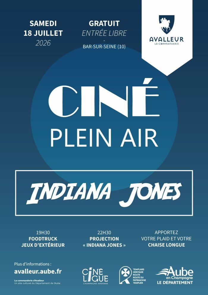 ciné plein air.jpg commanderie avalleur