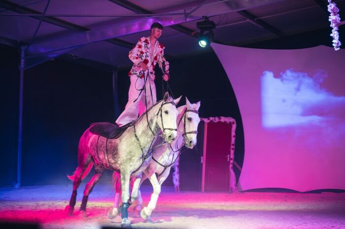 Spectacle équestre dans l'aube.jpg Le Bonheur des Gens