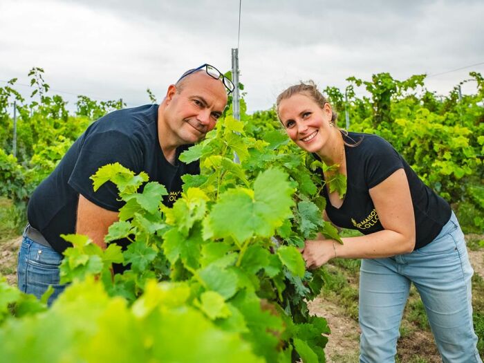 Apronie11.jpg Domaine D'Apronie