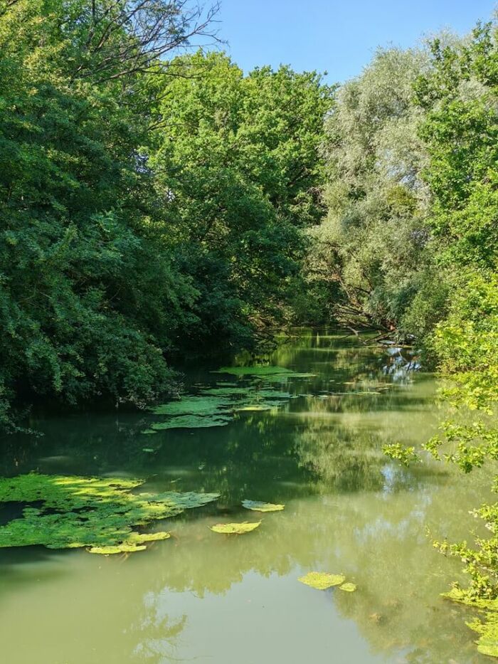 2026 La Voire Montmorency-Beaufort ©OTGLC - A. Pankow (2).jpg OT Grands Lacs de Champagne - A. Pankow