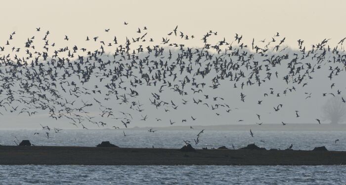 Lacs_Crédit C.Tomasson.JPG C.Tomasson