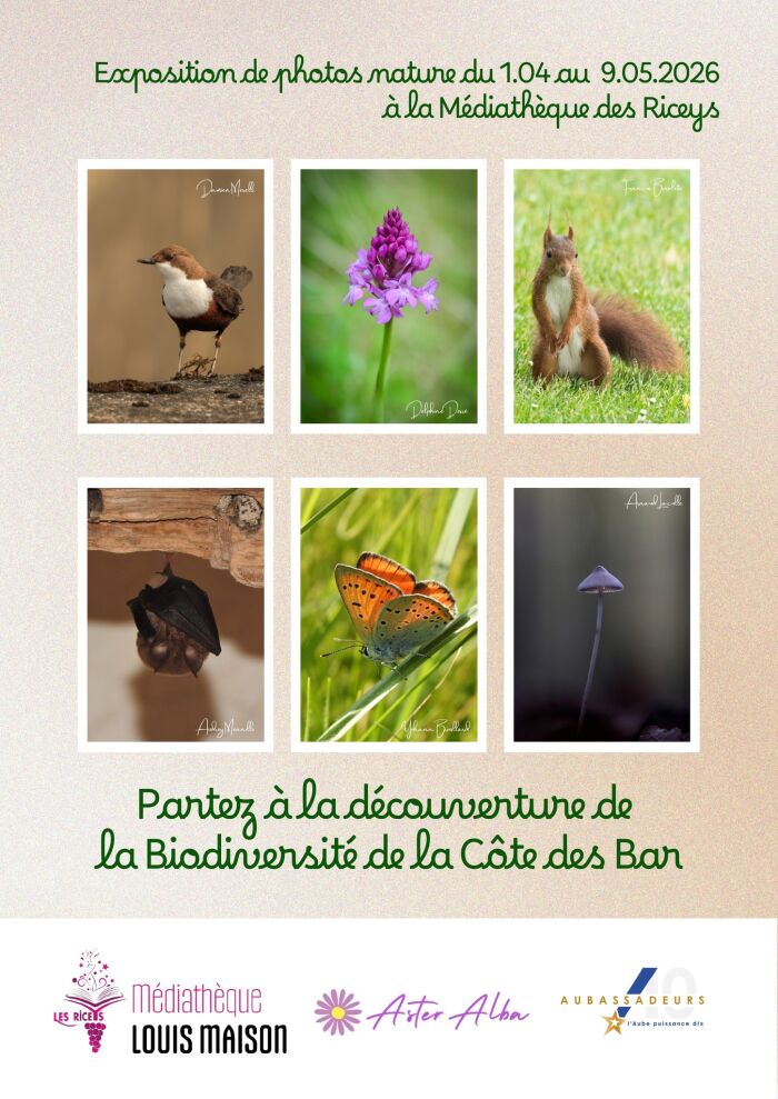 expo aster alba riceys.jpg mediathèque des riceys