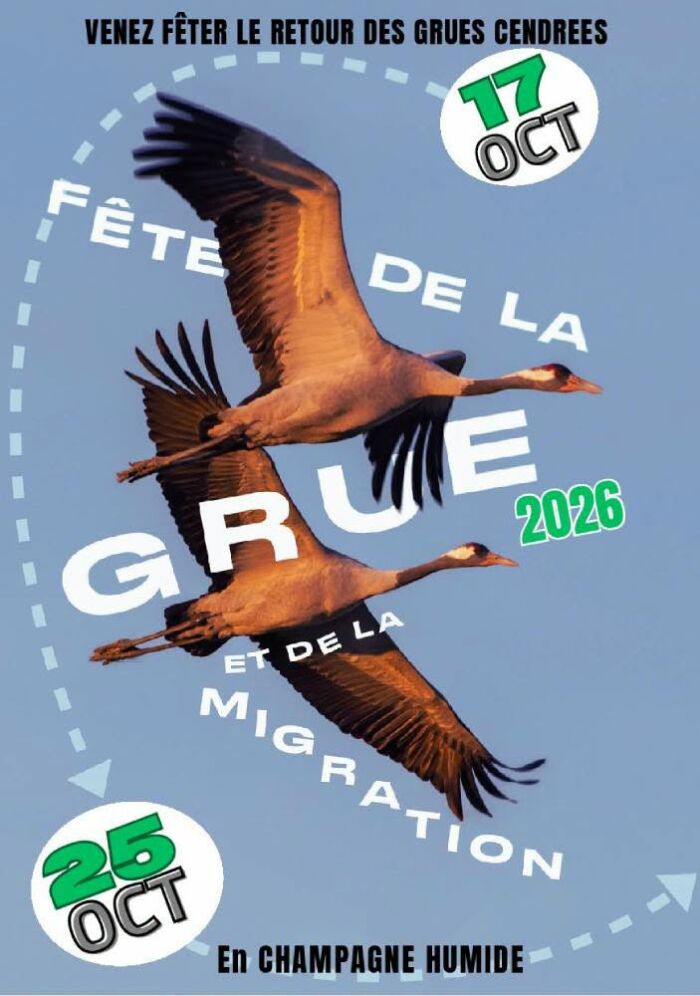 2026 10 - Fête de la grue.jpg LPO Champagne-Ardenne