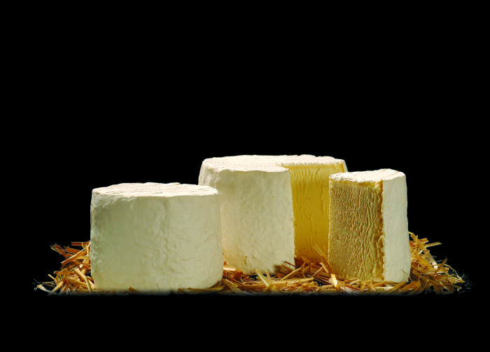 Fromage de Chaource.jpg CP Vogel HR