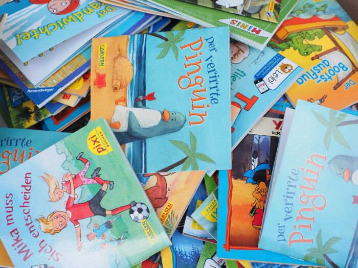 books-4753506_1280.jpg © Hans - Pixabay