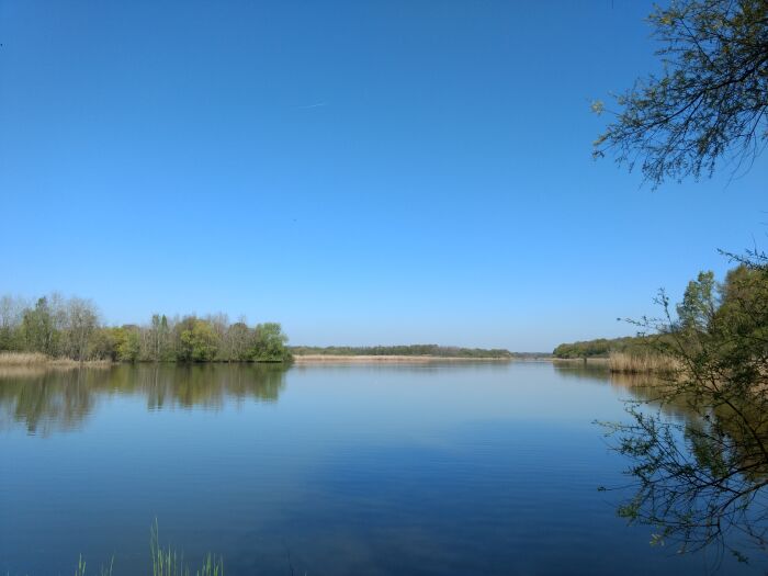 Etang Horre - ®OT Grands Lacs de Champagne A.L (4).jpg OT Grands Lacs de Champagne - A. Loison