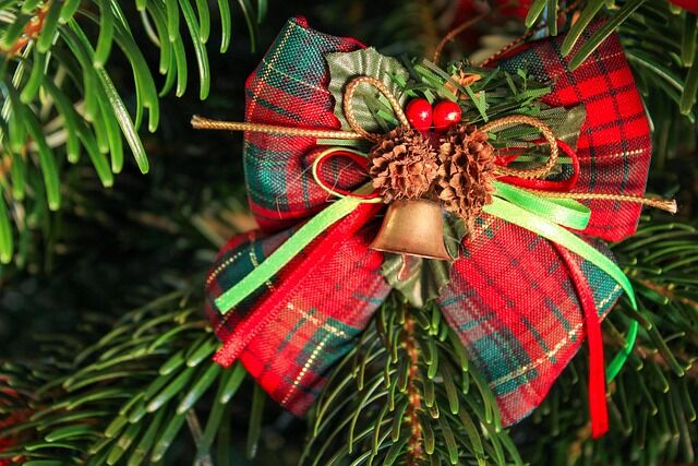 armennano-christmas-pictures-4700935_640.jpg Pixabay