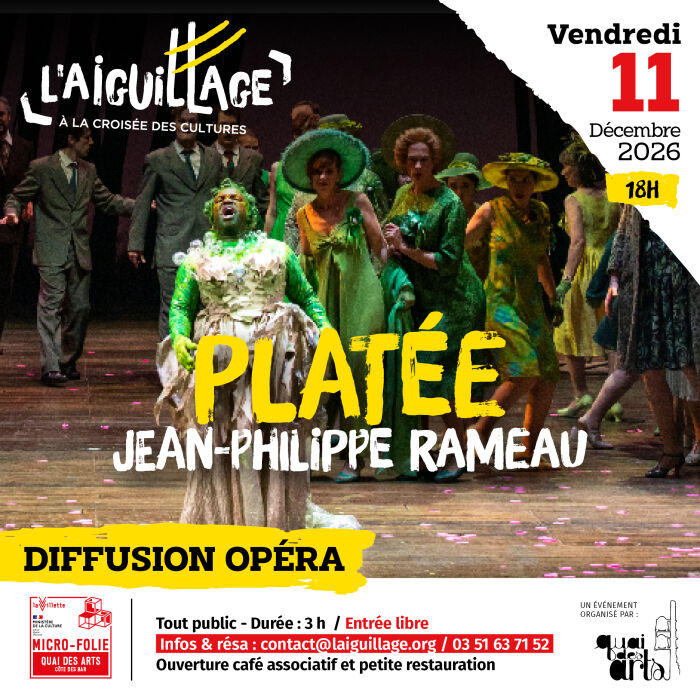 micro folie platée.jpg l'aiguillage