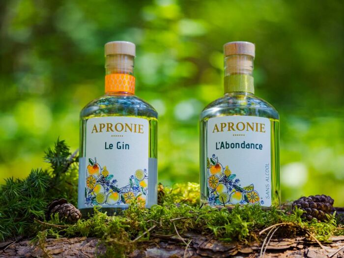 Apronie2.jpg Domaine D'Apronie