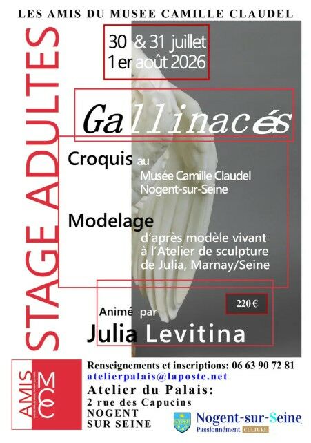 31.07.26 stage_julia_levitina_07.2026.jpg AMCC