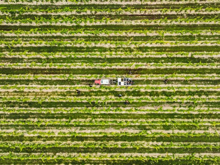 Apronie15.jpg Domaine D'Apronie