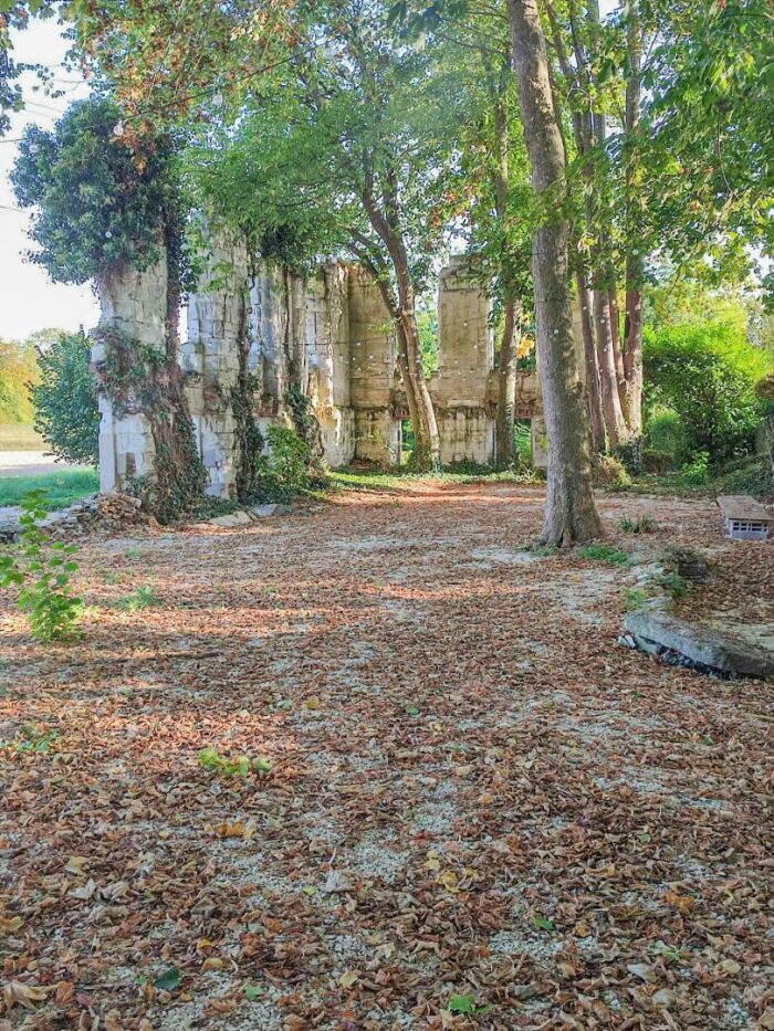 Maison Paloma - Luyères - Crédit Gîte de France (21).jpg Maison Paloma - Luyères - Crédit Gîte de France