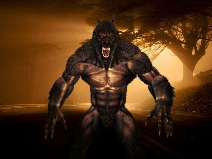 loup-garou-2891369_1280.jpg pixabay